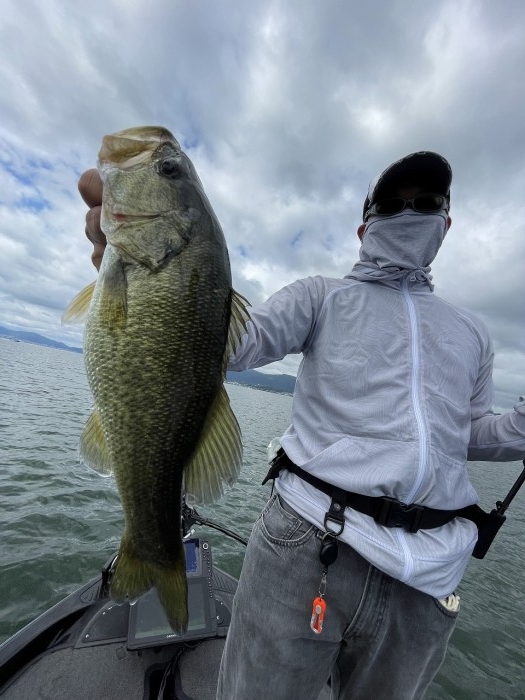 truth  ブログ写真 2024/08/16