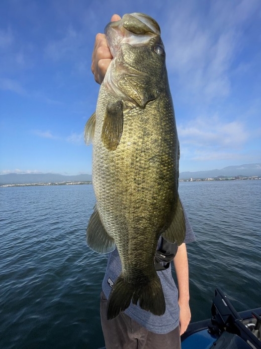 truth  ブログ写真 2024/10/01