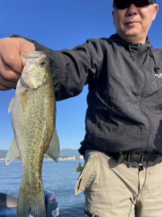 truth  ブログ写真 2024/10/15