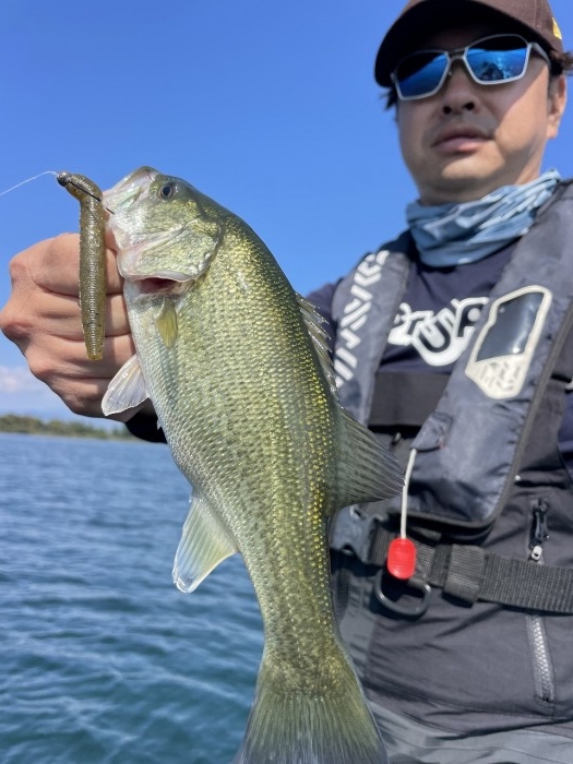 truth  ブログ写真 2024/10/15