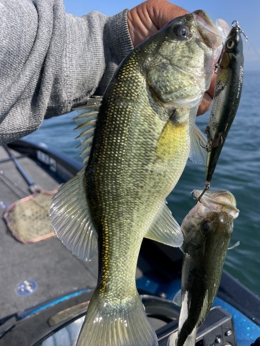 truth  ブログ写真 2024/10/15