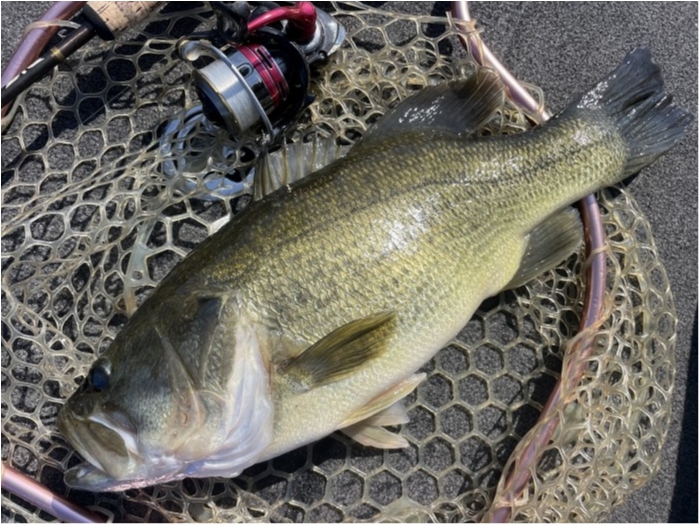 truth  ブログ写真 2024/10/15