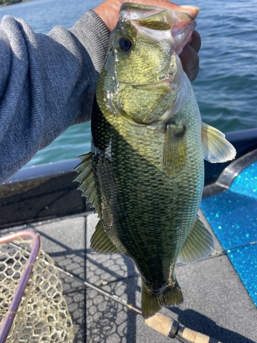 truth  ブログ写真 2024/10/15