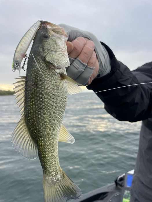 truth  ブログ写真 2024/10/16