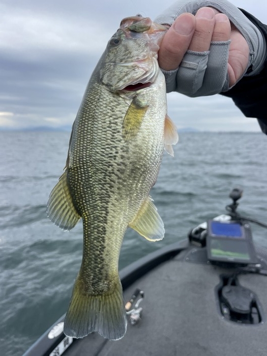 truth  ブログ写真 2024/10/16