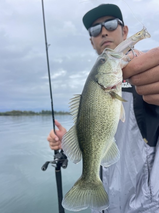 truth  ブログ写真 2024/10/17