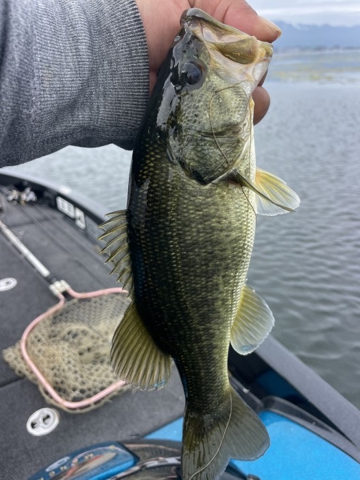 truth  ブログ写真 2024/10/17