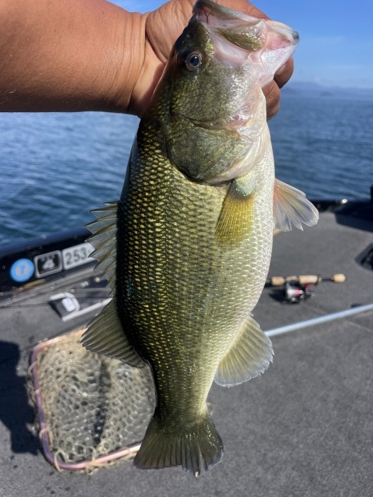 truth  ブログ写真 2024/10/17