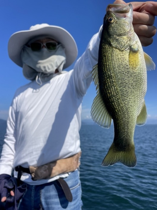 truth  ブログ写真 2024/10/17