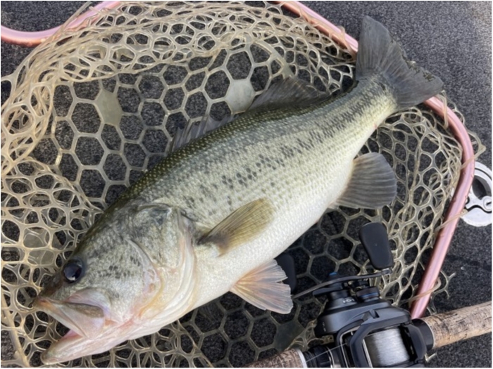 truth  ブログ写真 2024/10/17