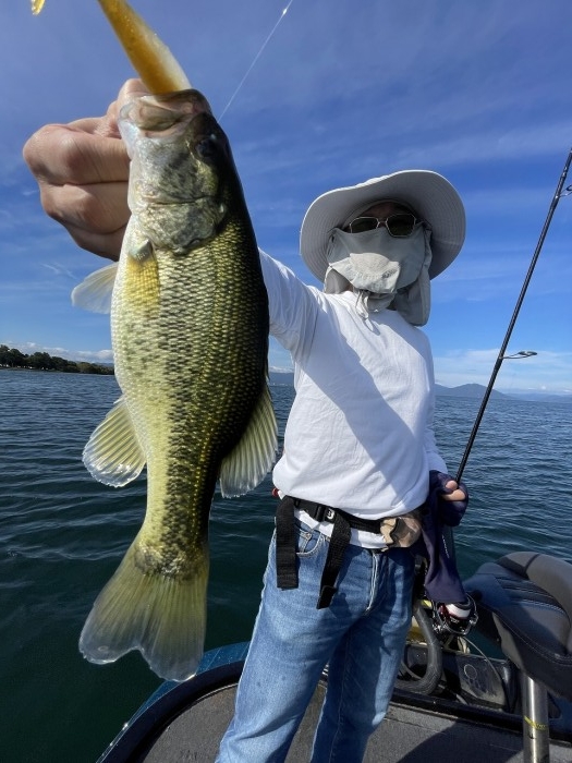 truth  ブログ写真 2024/10/17