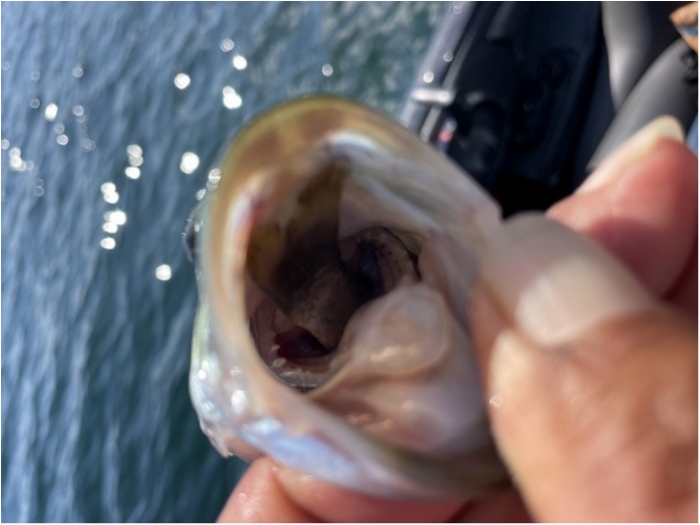 truth  ブログ写真 2024/10/17