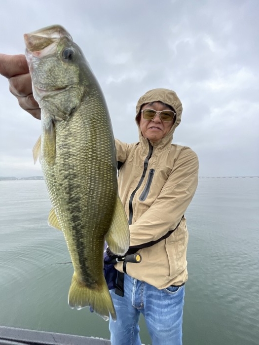 truth  ブログ写真 2024/10/18