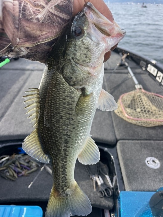 truth  ブログ写真 2024/10/22