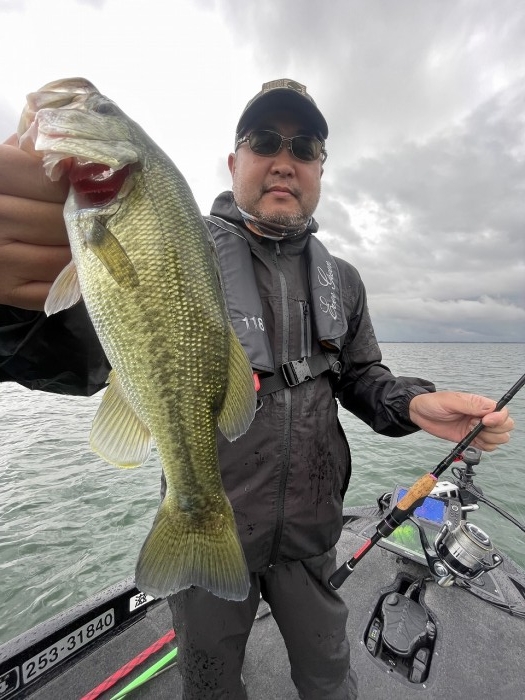 truth  ブログ写真 2024/10/22