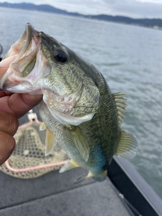 truth  ブログ写真 2024/10/22