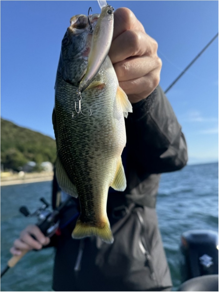 truth  ブログ写真 2024/10/23