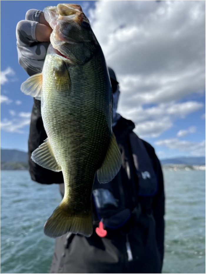 truth  ブログ写真 2024/10/23