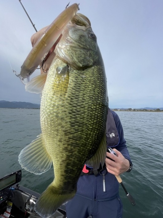 truth  ブログ写真 2024/10/23