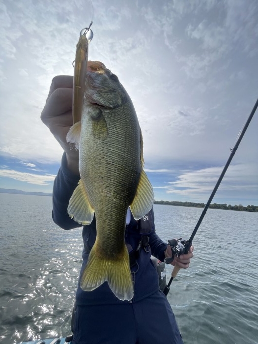 truth  ブログ写真 2024/10/23