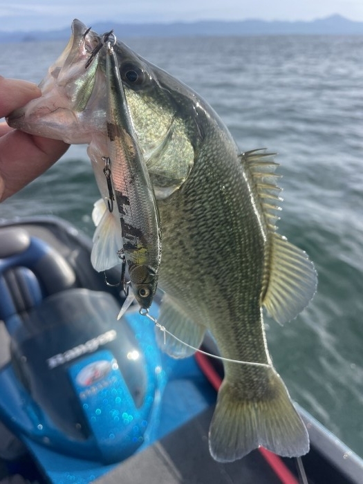 truth  ブログ写真 2024/10/23