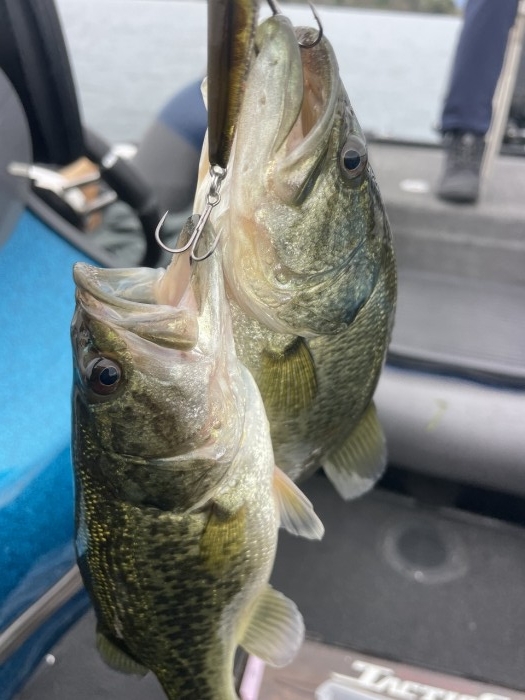 truth  ブログ写真 2024/10/23