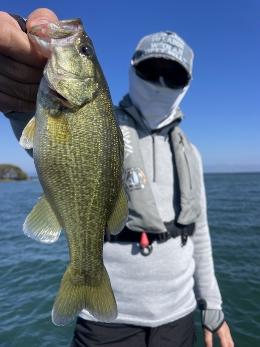 truth  ブログ写真 2024/11/04