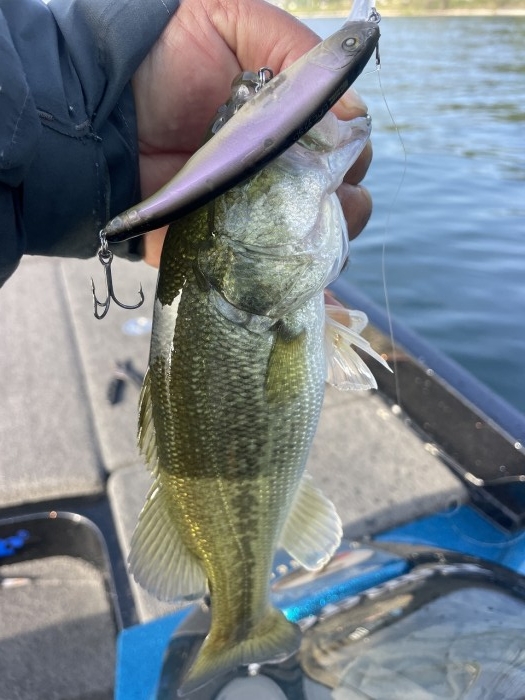 truth  ブログ写真 2024/11/05