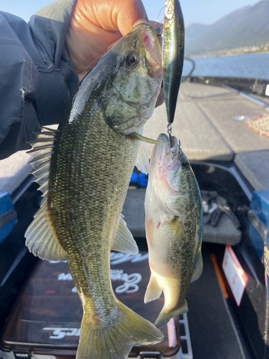 truth  ブログ写真 2024/11/05