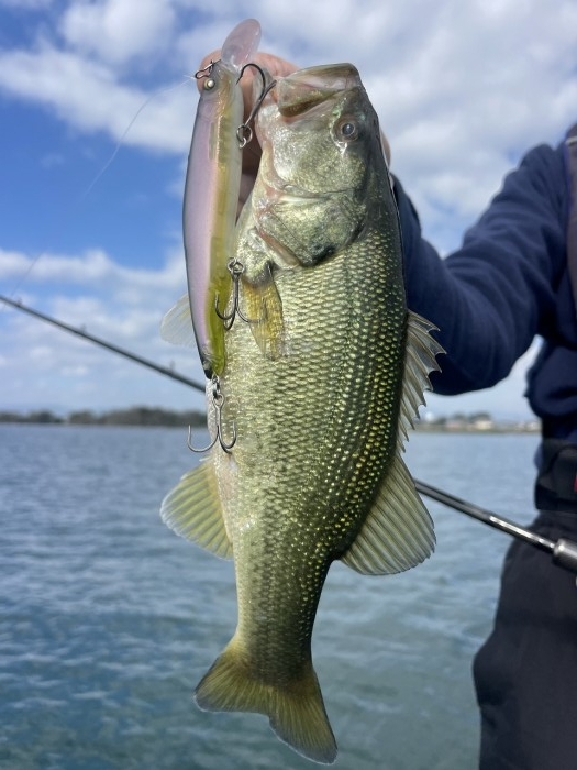 truth  ブログ写真 2024/11/05