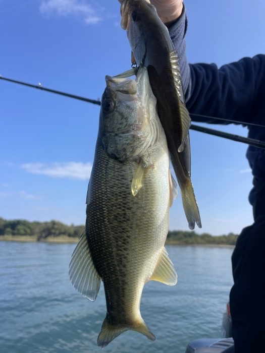 truth  ブログ写真 2024/11/05