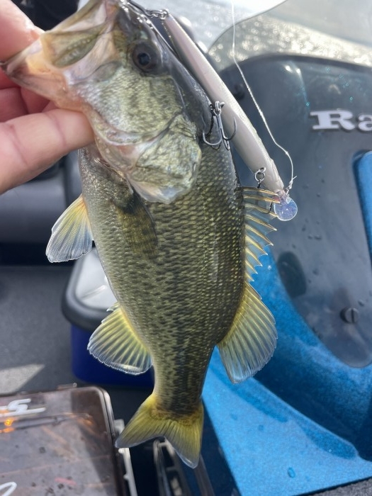 truth  ブログ写真 2024/11/06