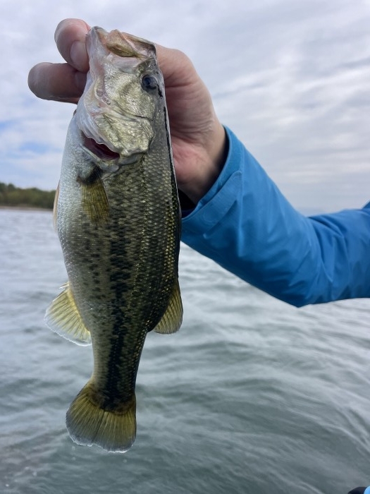 truth  ブログ写真 2024/11/06