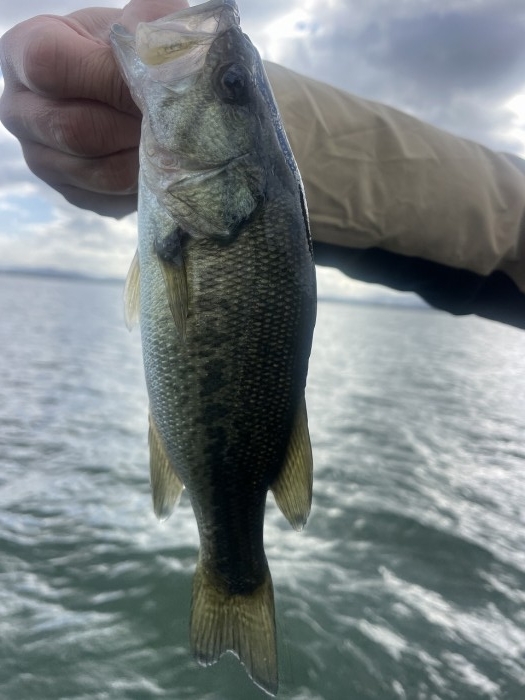 truth  ブログ写真 2024/11/07