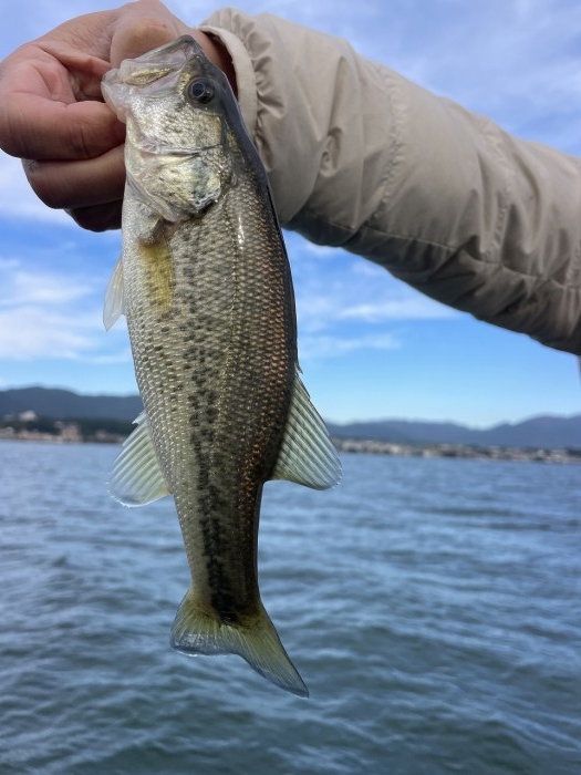 truth  ブログ写真 2024/11/08