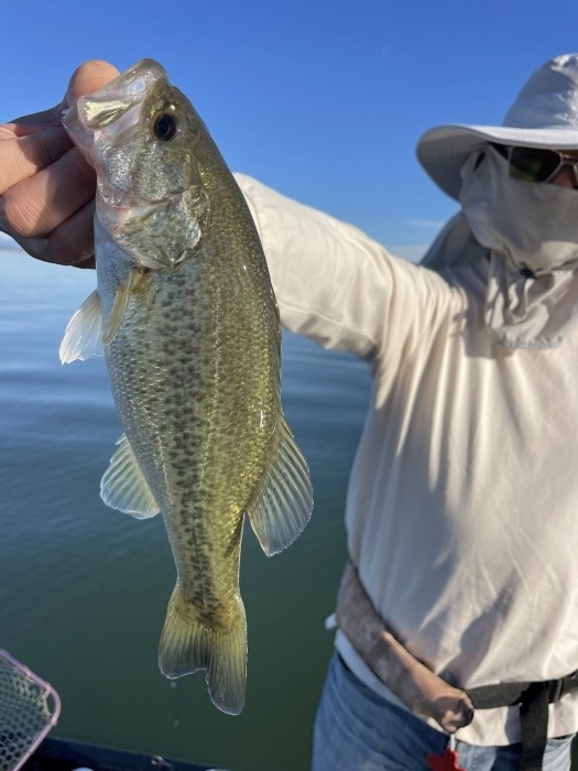 truth  ブログ写真 2024/11/08