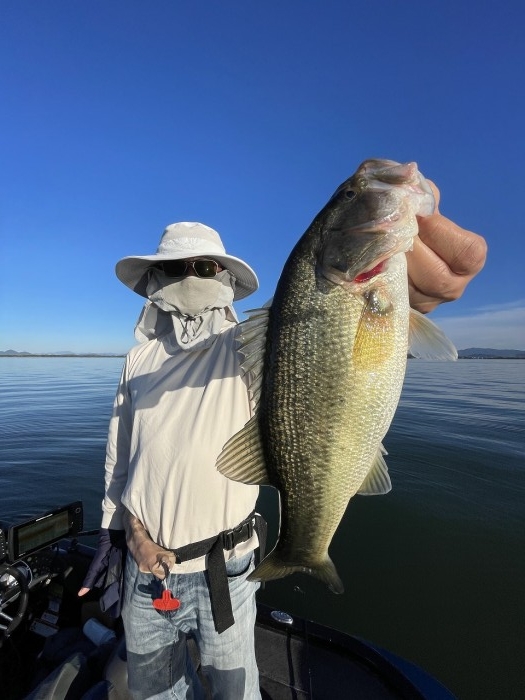 truth  ブログ写真 2024/11/08