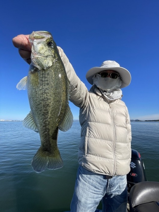 truth  ブログ写真 2024/11/08