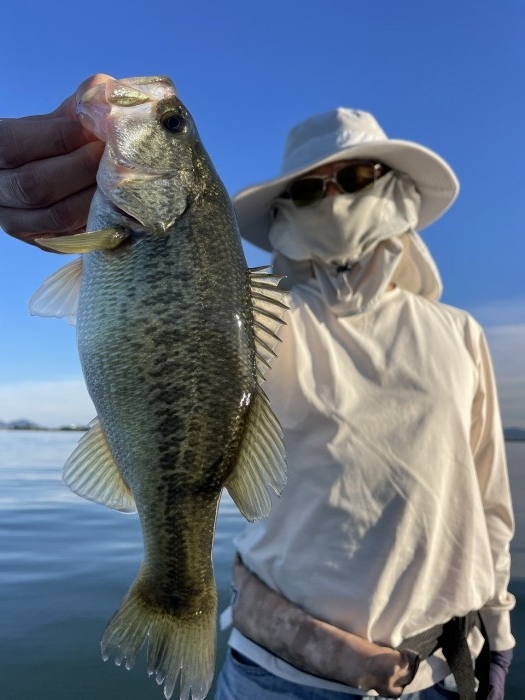 truth  ブログ写真 2024/11/08