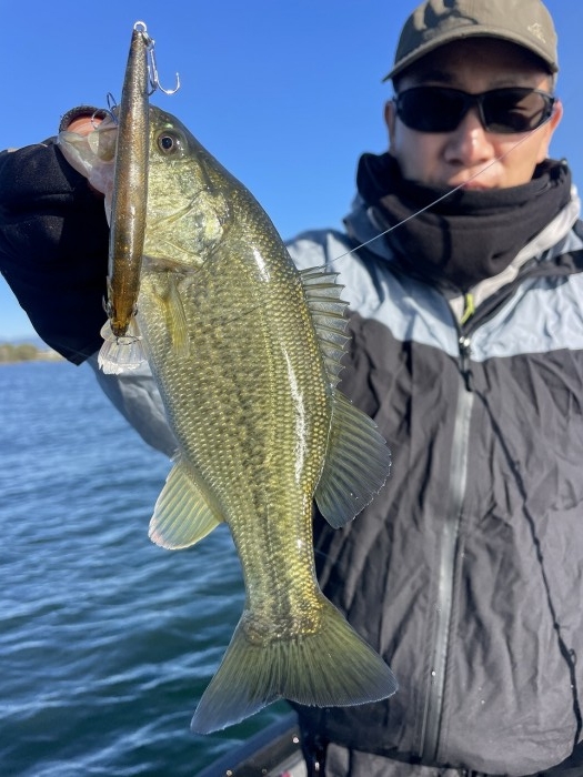 truth  ブログ写真 2024/11/09