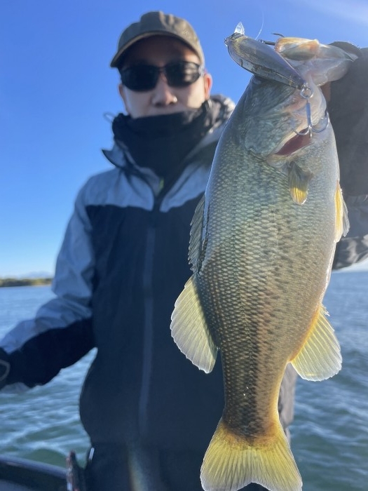 truth  ブログ写真 2024/11/09