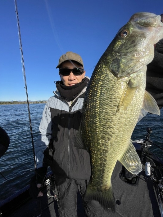 truth  ブログ写真 2024/11/09