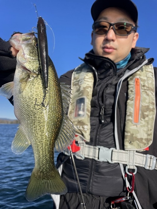 truth  ブログ写真 2024/11/09