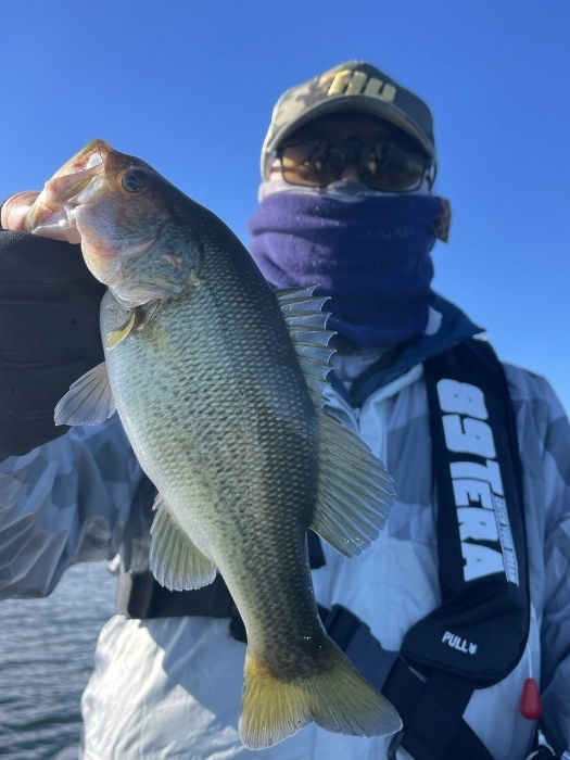 truth  ブログ写真 2024/11/09