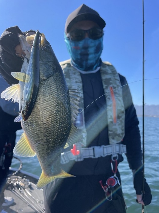 truth  ブログ写真 2024/11/09