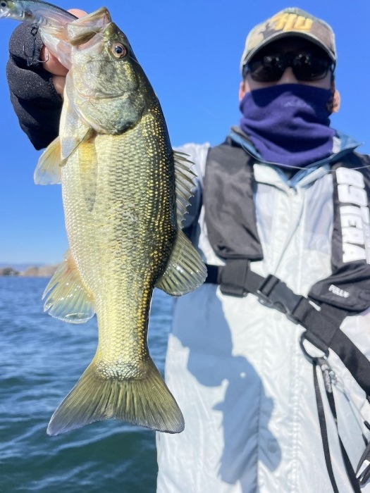 truth  ブログ写真 2024/11/09