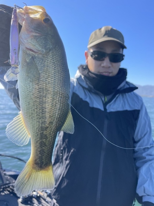 truth  ブログ写真 2024/11/09