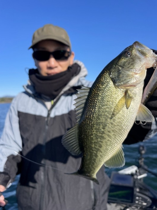 truth  ブログ写真 2024/11/09