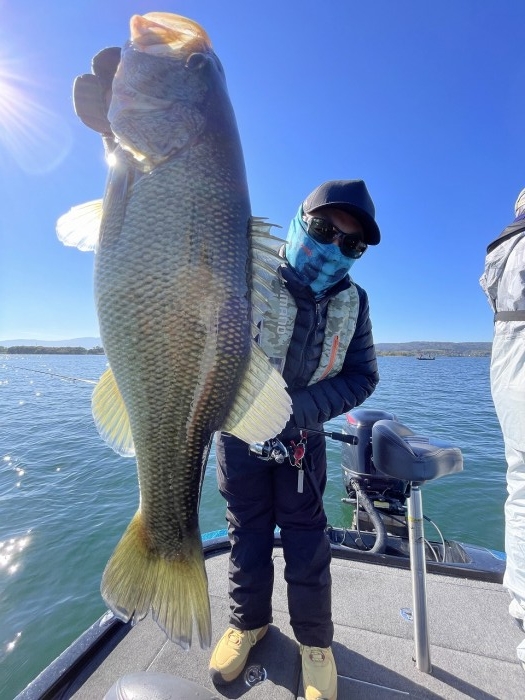 truth  ブログ写真 2024/11/09