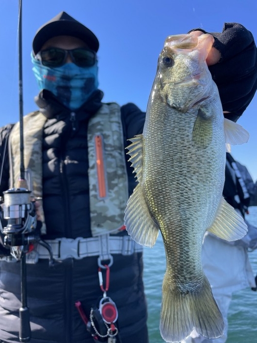 truth  ブログ写真 2024/11/09